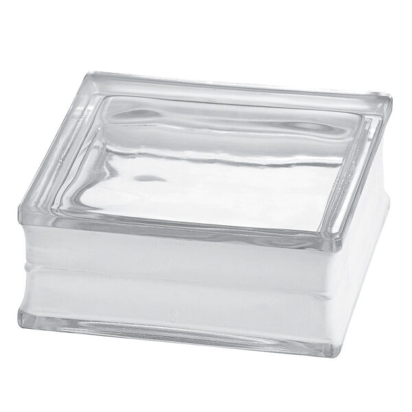 Quality Glass Block Euro Fire Resistant 1919/8 30F Clearview Paver