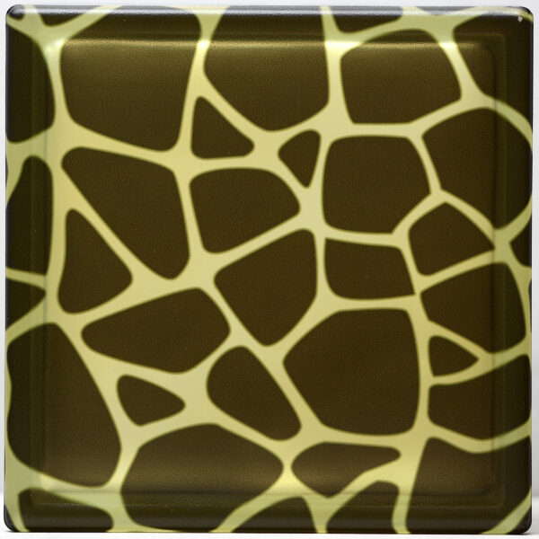 Giraffe print Custom Design Glass Block